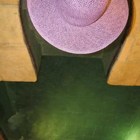 Bed & Breakfast Demeure De Digoine 